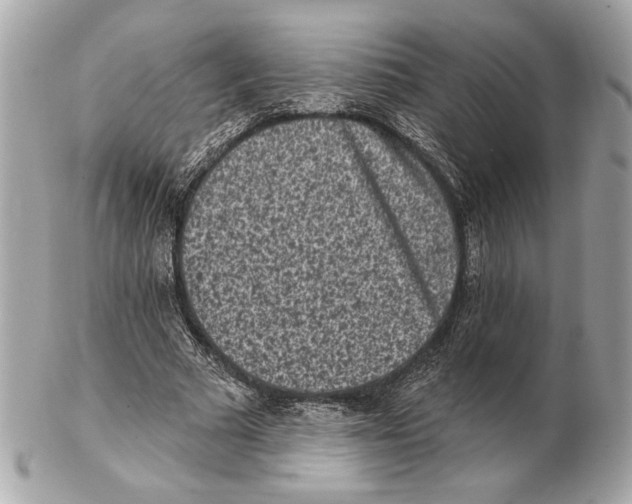 X0000102400681200808291446