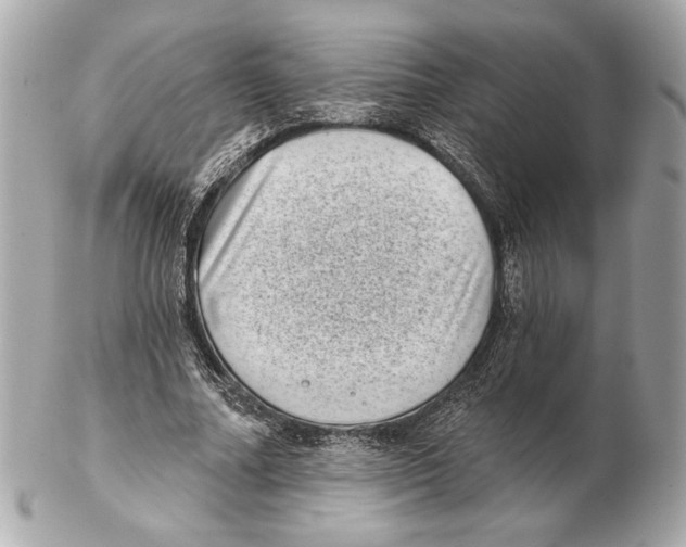 X0000102400682200808291446