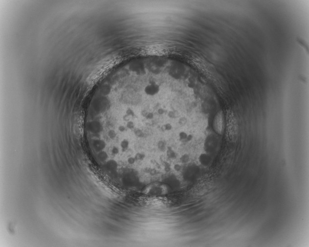 X0000102400683200808291446