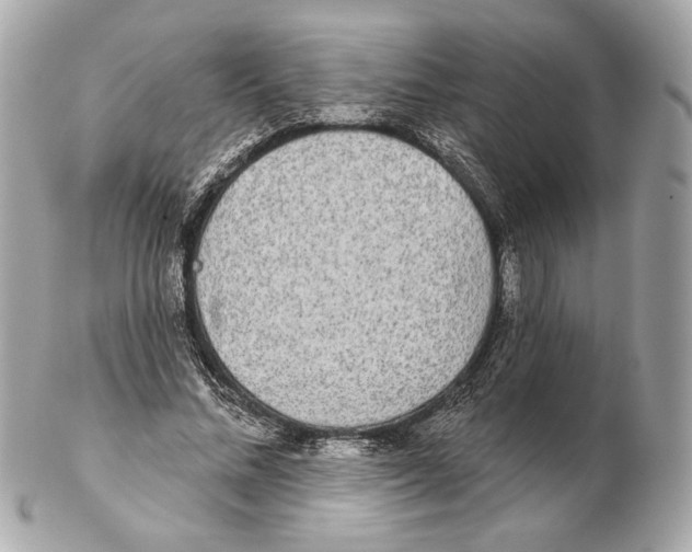 X0000102400684200808291446