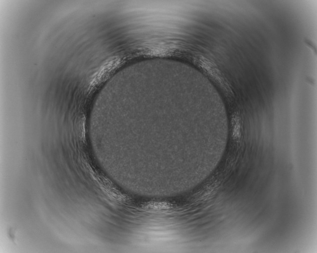 X0000102400685200808291446