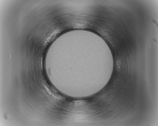 X0000102400686200808291446