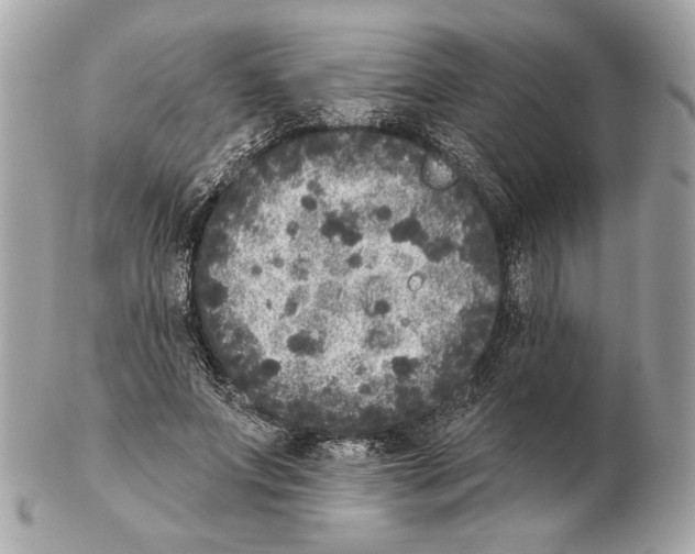 X0000102400687200808291446
