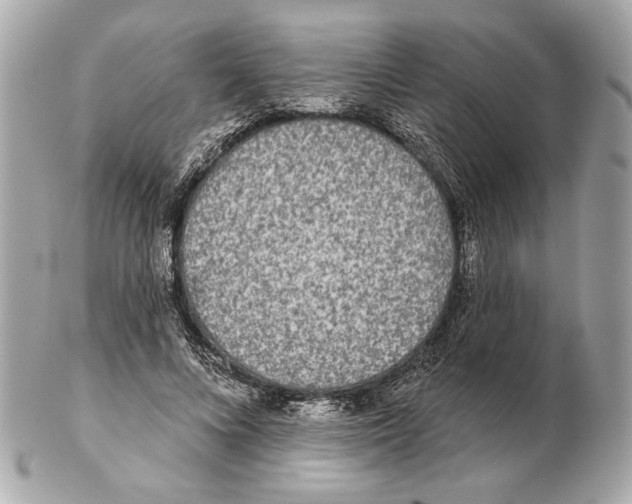 X0000102400688200808291446