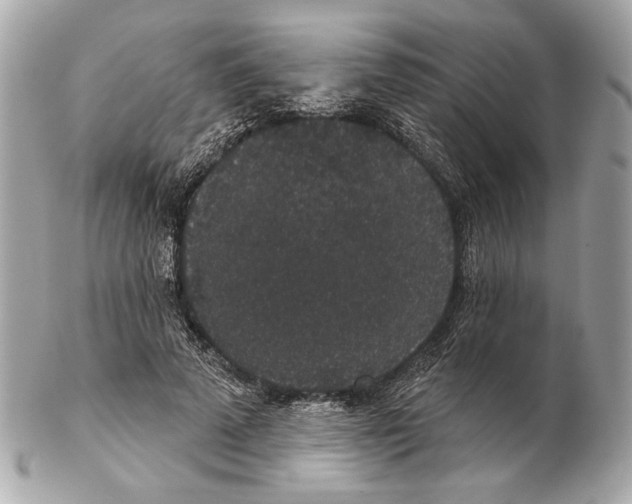 X0000102400689200808291446
