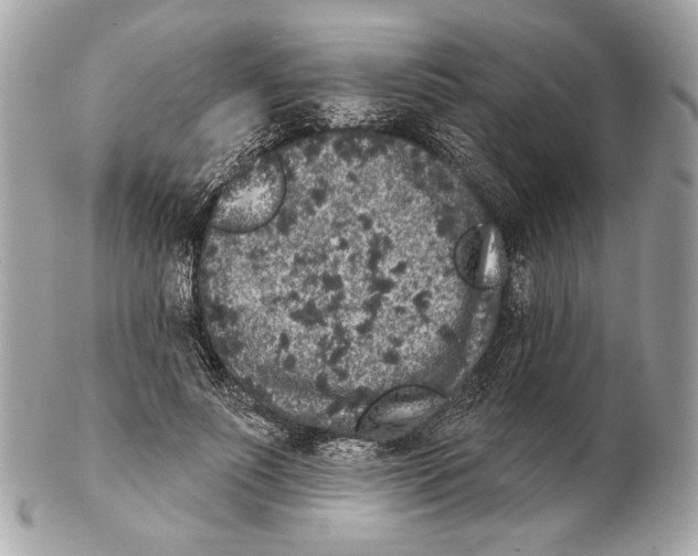 X0000102400691200808291446