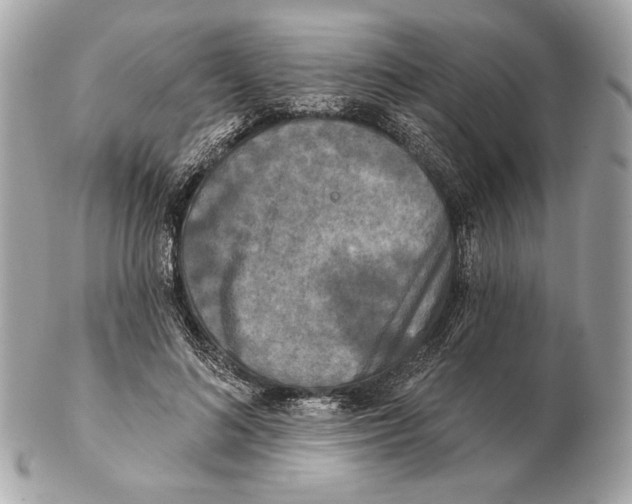 X0000102400692200808291446