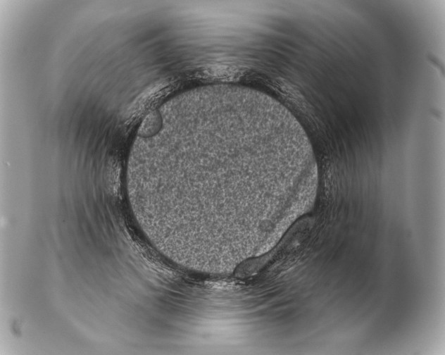 X0000102400693200808291446