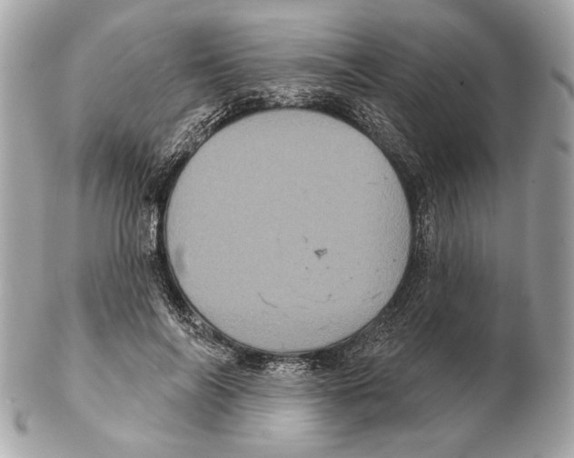 X0000102400694200808291446