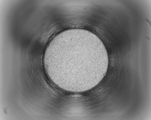 X0000102400695200808291446