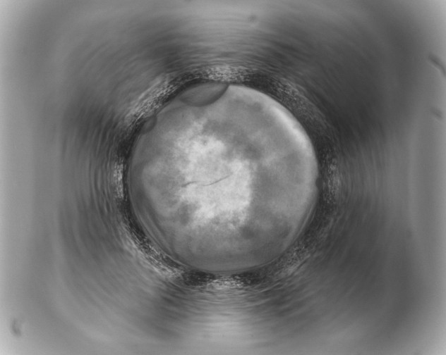 X0000102400696200808291446