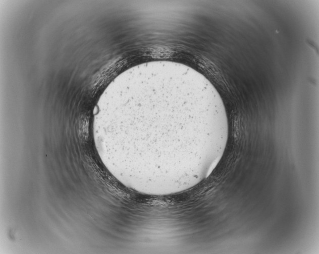 X0000102400697200808291446