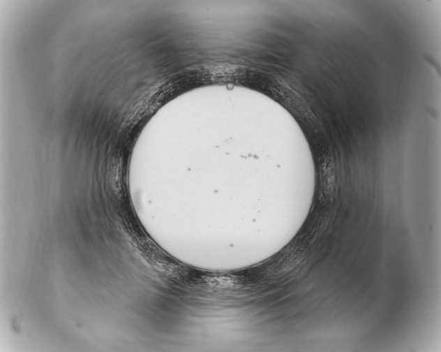 X0000102400698200808291446