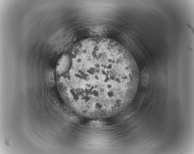 X0000102400699200808291446
