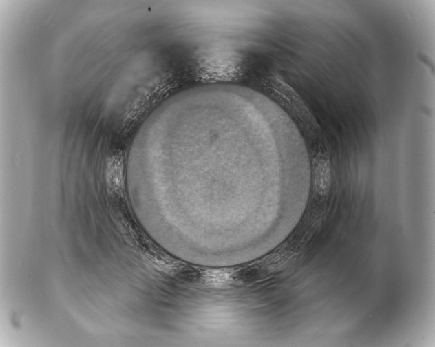 X0000102400701200808291446