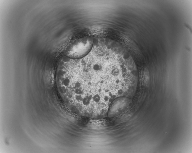 X0000102400703200808291446