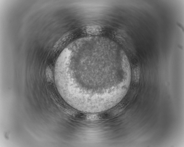 X0000102400705200808291446