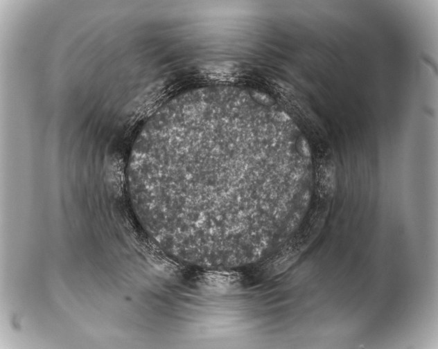 X0000102400707200808291445