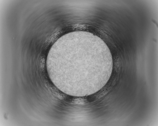 X0000102400708200808291445