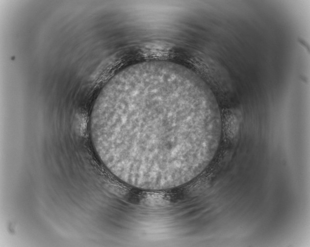 X0000102400709200808291445