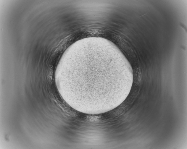 X0000102400710200808291445