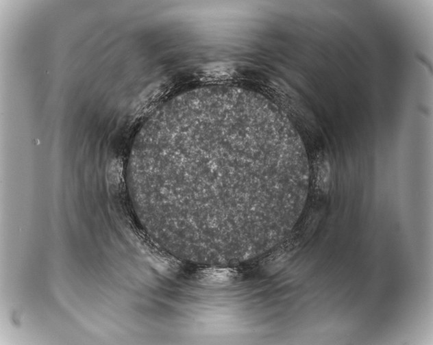 X0000102400711200808291445
