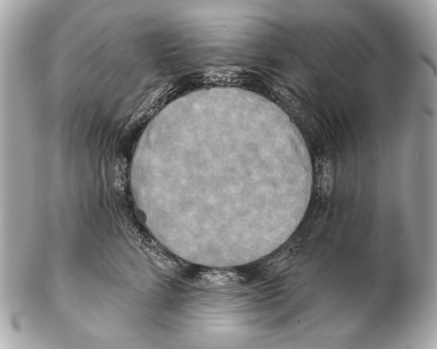 X0000102400712200808291445