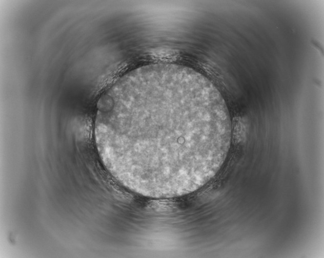 X0000102400713200808291445