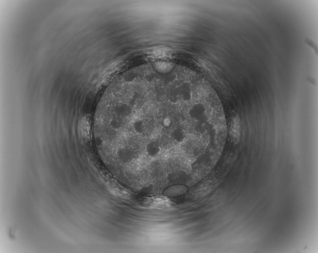 X0000102400715200808291445