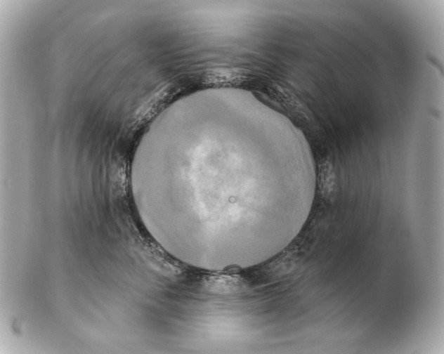 X0000102400716200808291445