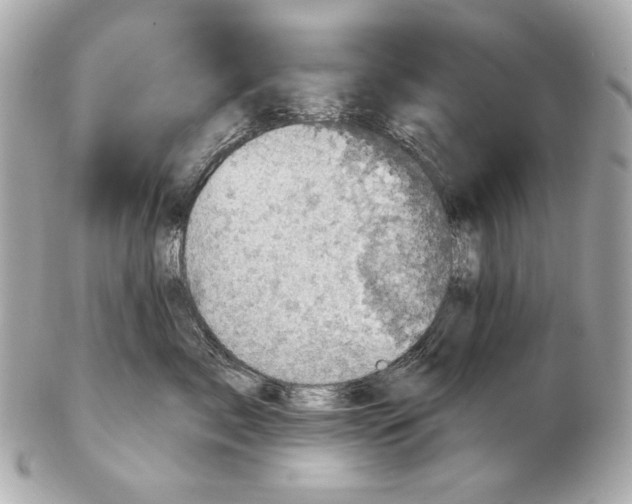 X0000102400717200808291445