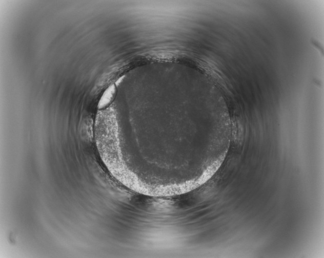 X0000102400718200808291445