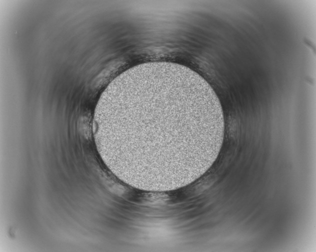 X0000102400719200808291445