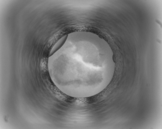 X0000102400720200808291445