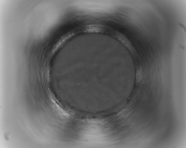 X0000102400722200808291444