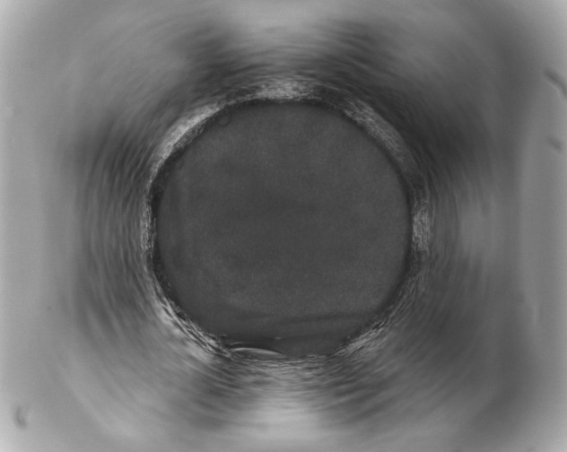 X0000102400724200808291444