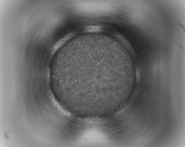 X0000102400725200808291445