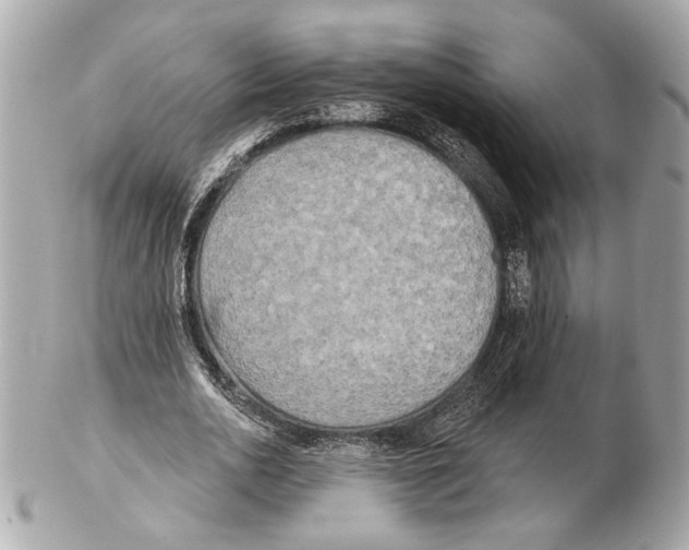 X0000102400726200808291445
