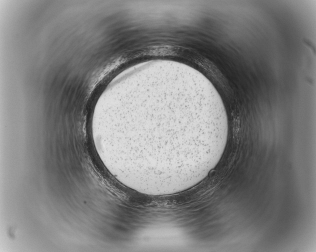 X0000102400727200808291445