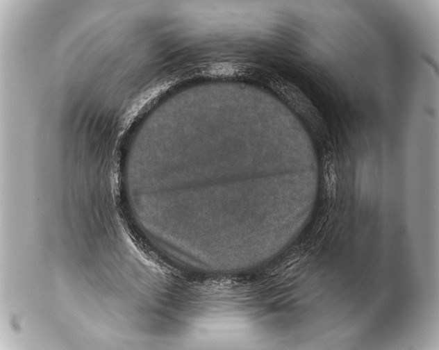X0000102400728200808291445
