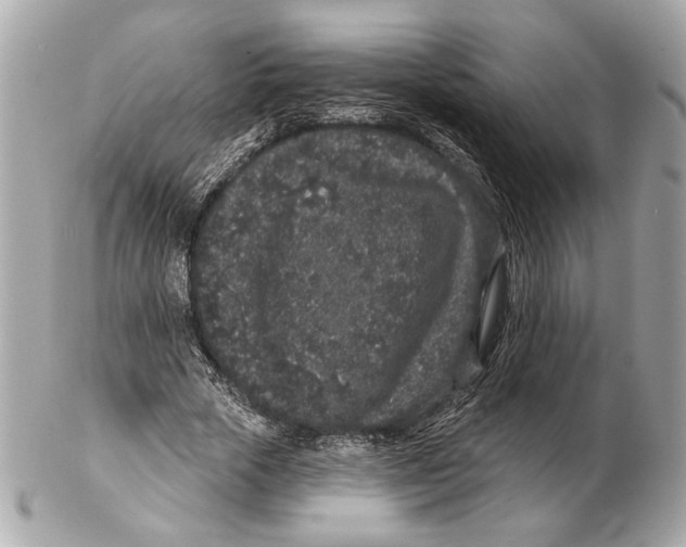 X0000102400729200808291445