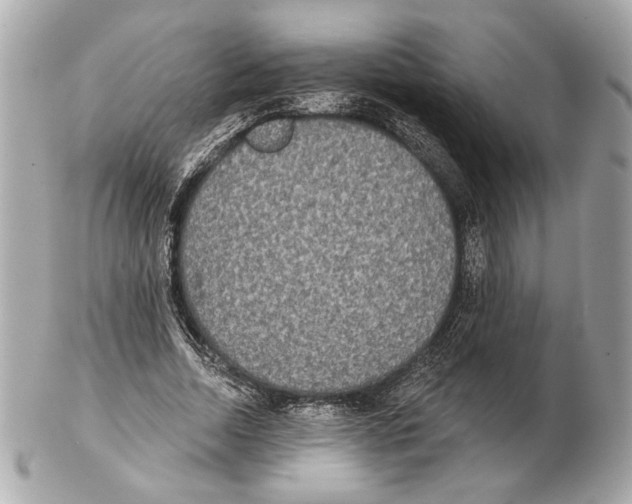 X0000102400730200808291445