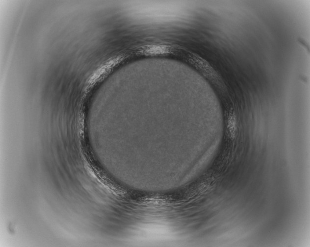 X0000102400732200808291445
