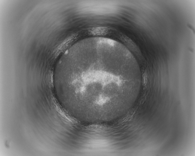 X0000102400733200808291445