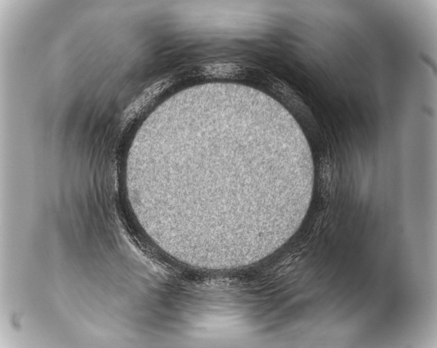 X0000102400734200808291445