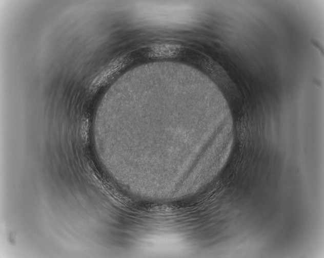 X0000102400735200808291445