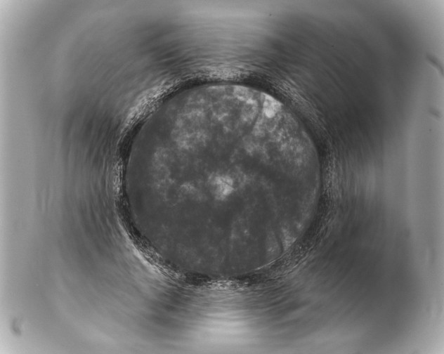 X0000102400736200808291445