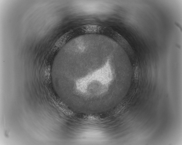 X0000102400737200808291445