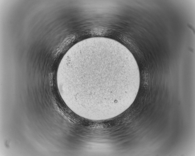 X0000102400738200808291445