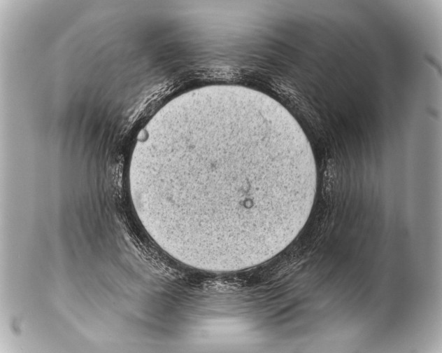 X0000102400739200808291445